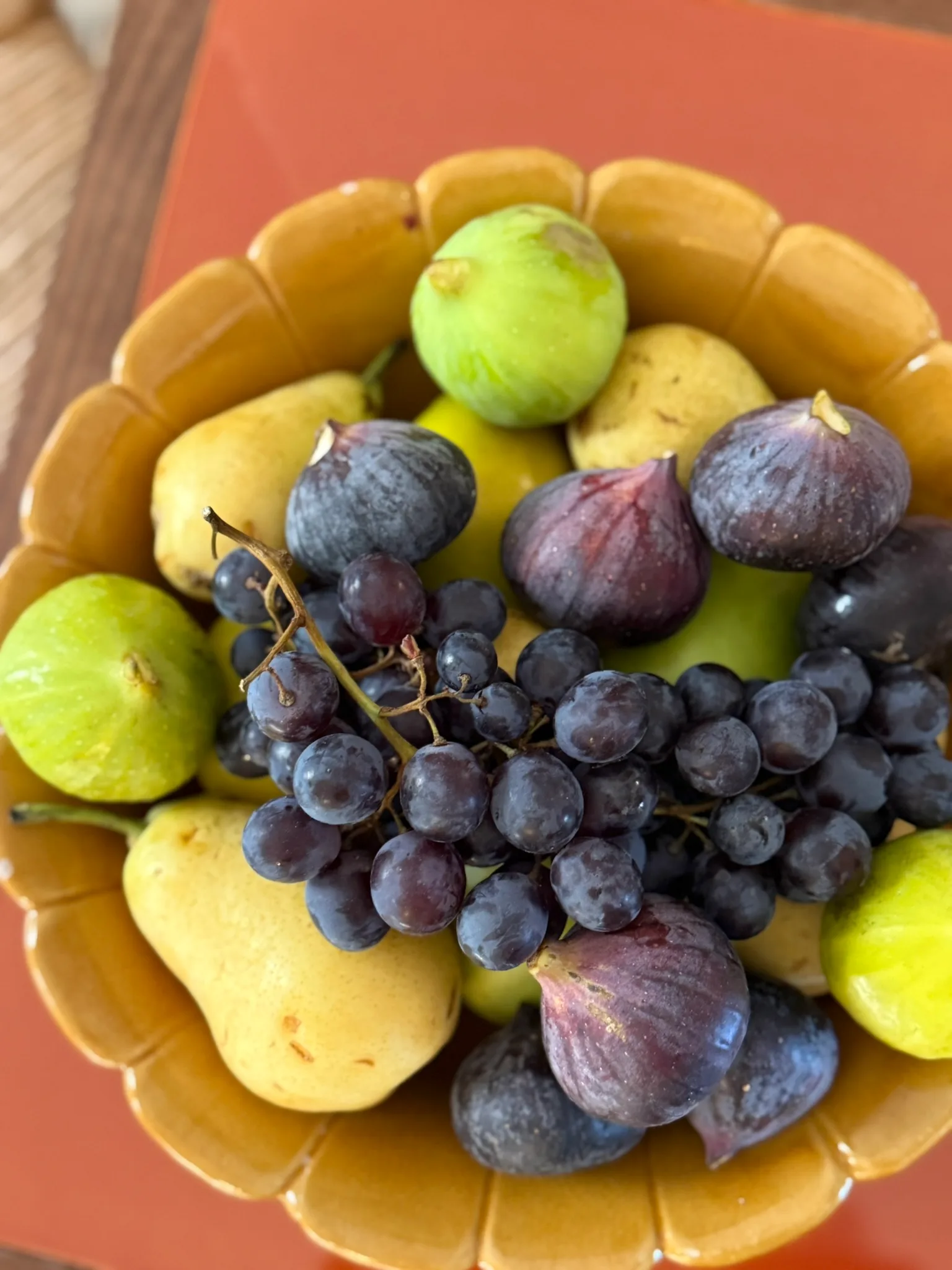 Olive groves in the golden afternoon light