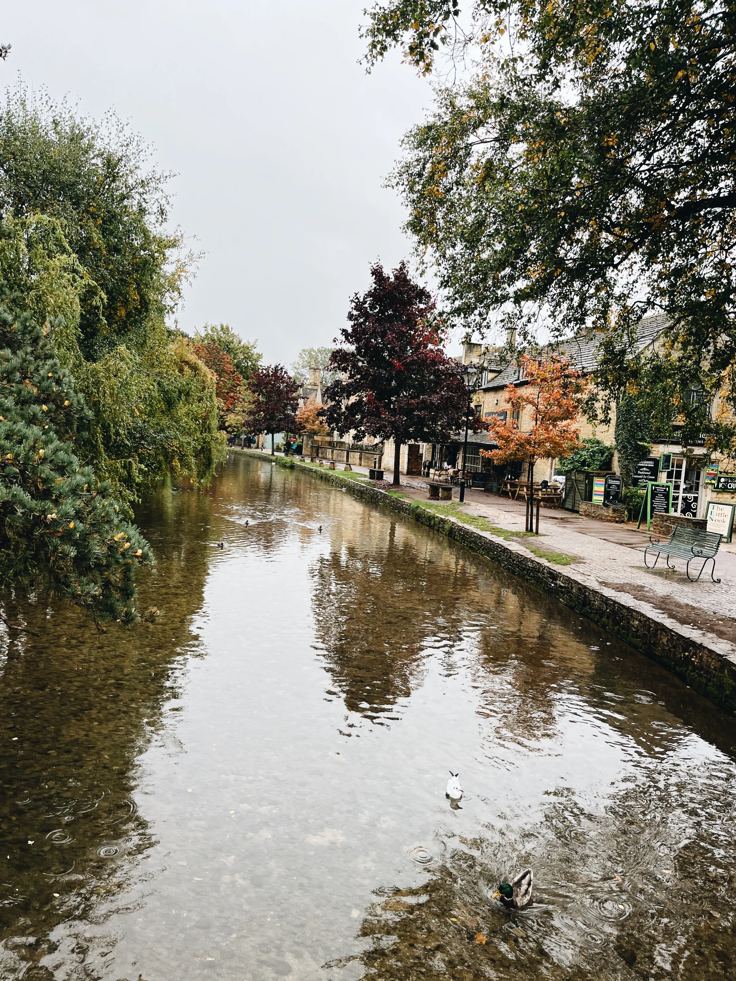 A footpath winding through a wildflower meadow