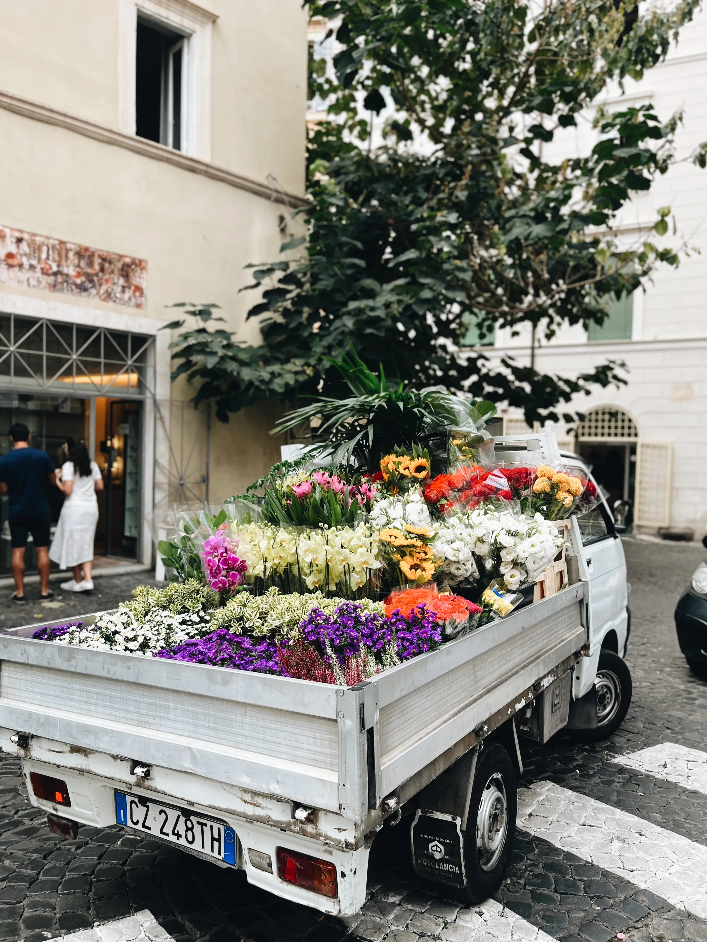A table set beneath an olive tree