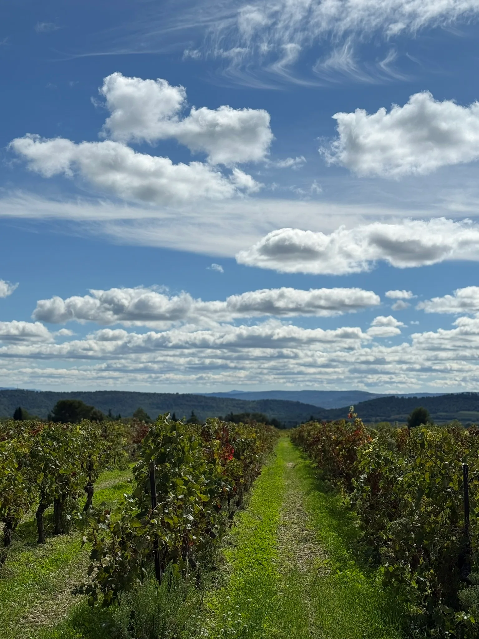 A cellar lined with aging barrels